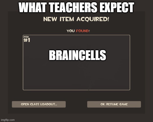 Braincell aquired | WHAT TEACHERS EXPECT; BRAINCELLS | image tagged in you got tf2 shit | made w/ Imgflip meme maker