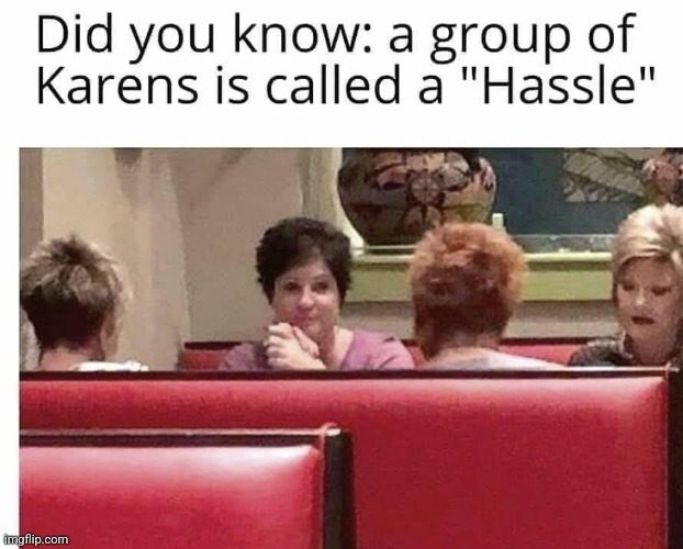 image tagged in funny memes | made w/ Imgflip meme maker