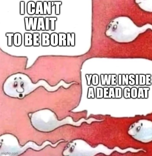 Sperm conversation | I CAN’T WAIT TO BE BORN; YO WE INSIDE A DEAD GOAT | image tagged in sperm conversation | made w/ Imgflip meme maker