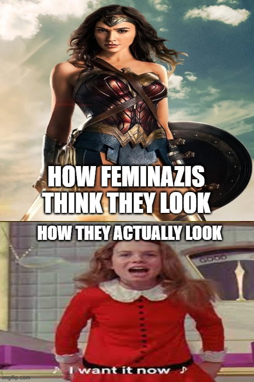 The Delusional Feminist | HOW FEMINAZIS THINK THEY LOOK; HOW THEY ACTUALLY LOOK | image tagged in memes,angry feminist delusions,feminazi | made w/ Imgflip meme maker