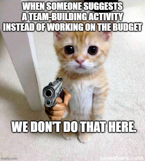 Cute Cat for FP&A | WHEN SOMEONE SUGGESTS A TEAM-BUILDING ACTIVITY INSTEAD OF WORKING ON THE BUDGET; WE DON'T DO THAT HERE. | image tagged in memes,cute cat | made w/ Imgflip meme maker