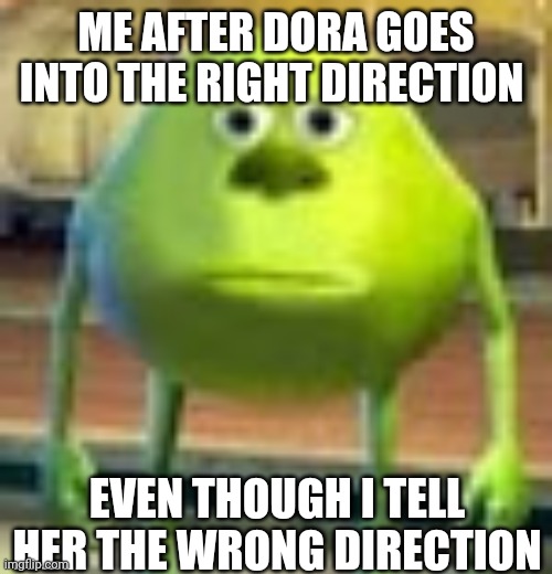 Sully Wazowski | ME AFTER DORA GOES INTO THE RIGHT DIRECTION EVEN THOUGH I TELL HER THE WRONG DIRECTION | image tagged in sully wazowski | made w/ Imgflip meme maker