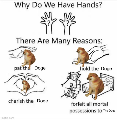 Why do we have hands? (all blank) | Doge; Doge; Doge; The Doge | image tagged in why do we have hands all blank | made w/ Imgflip meme maker