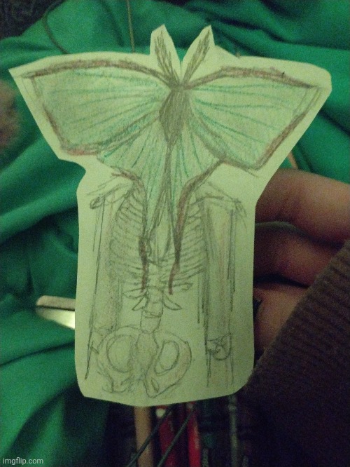 Moth skelly!!! | image tagged in moth,skeleton | made w/ Imgflip meme maker
