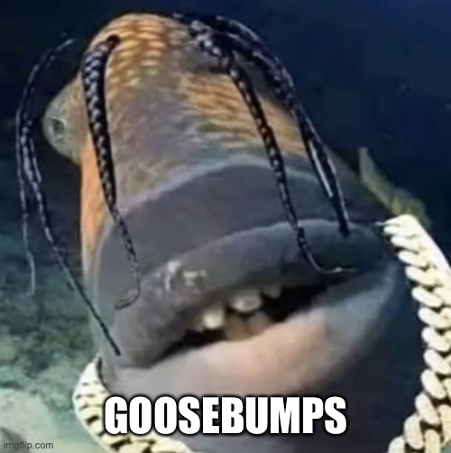 Trafish Scott | GOOSEBUMPS | image tagged in trafish scott | made w/ Imgflip meme maker
