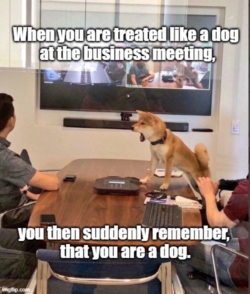 Dog at Business Meeting | When you are treated like a dog 
at the business meeting, you then suddenly remember,
 that you are a dog. | image tagged in dogs,dog,business | made w/ Imgflip meme maker