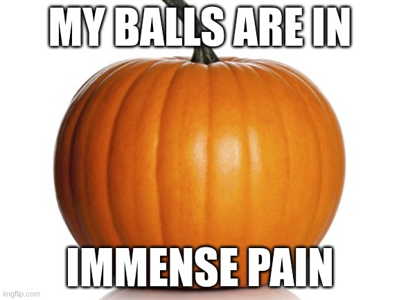 pumpkin | MY BALLS ARE IN; IMMENSE PAIN | image tagged in pumpkin | made w/ Imgflip meme maker