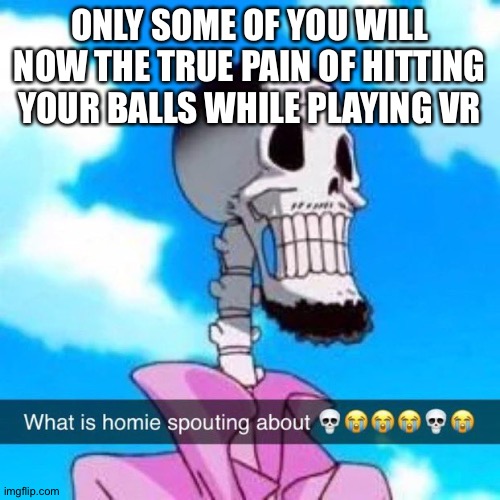 What is homie spouting about | ONLY SOME OF YOU WILL NOW THE TRUE PAIN OF HITTING YOUR BALLS WHILE PLAYING VR | image tagged in what is homie spouting about | made w/ Imgflip meme maker
