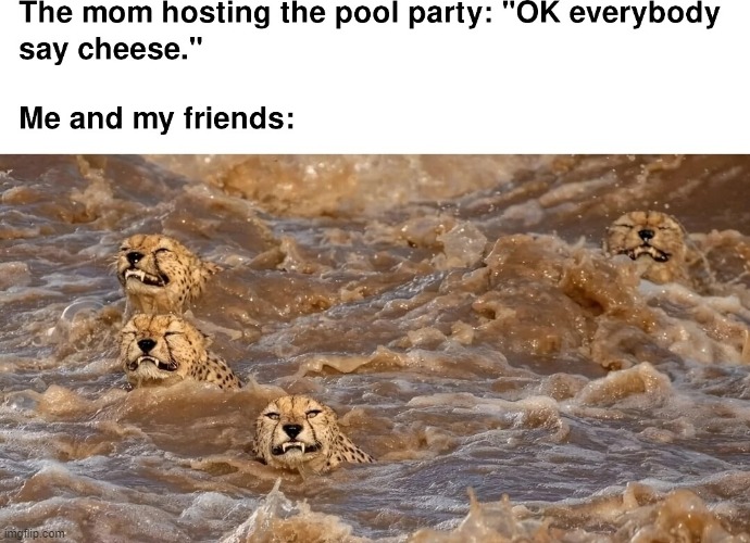image tagged in repost | made w/ Imgflip meme maker