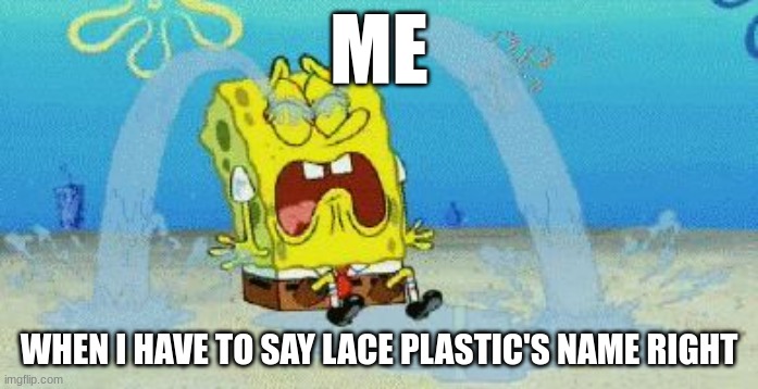 cryin | ME; WHEN I HAVE TO SAY LACE PLASTIC'S NAME RIGHT | image tagged in cryin | made w/ Imgflip meme maker