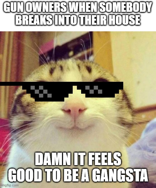 Smiling Cat | GUN OWNERS WHEN SOMEBODY BREAKS INTO THEIR HOUSE; DAMN IT FEELS GOOD TO BE A GANGSTA | image tagged in memes,smiling cat | made w/ Imgflip meme maker