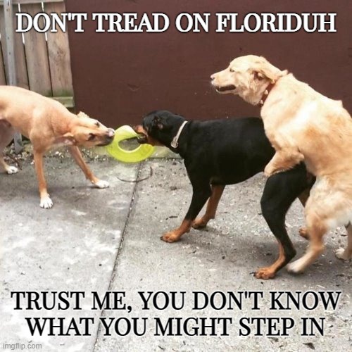 Don't tread on Floriduh... | DON'T TREAD ON FLORIDUH; TRUST ME, YOU DON'T KNOW
WHAT YOU MIGHT STEP IN | image tagged in this is my life,treadmill,meanwhile in florida,florida man,ew i stepped in shit | made w/ Imgflip meme maker
