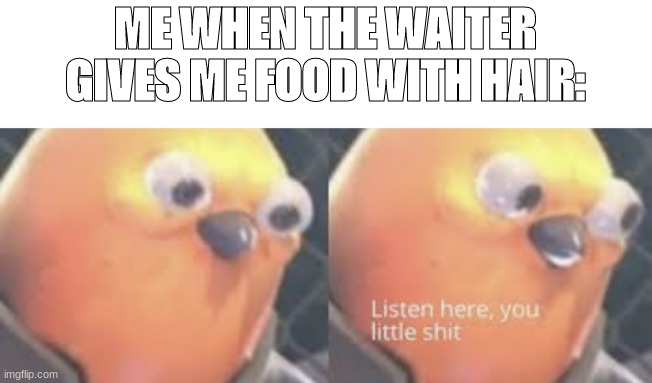 hairy food |  ME WHEN THE WAITER GIVES ME FOOD WITH HAIR: | image tagged in listen here you little shit bird | made w/ Imgflip meme maker