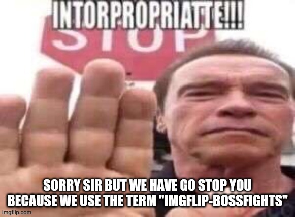 intorpropriatte | SORRY SIR BUT WE HAVE GO STOP YOU BECAUSE WE USE THE TERM "IMGFLIP-BOSSFIGHTS" | image tagged in intorpropriatte | made w/ Imgflip meme maker