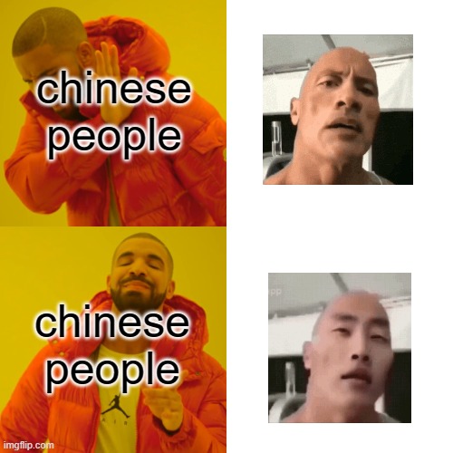 pls dont ban me | chinese people; chinese people | image tagged in memes,drake hotline bling | made w/ Imgflip meme maker