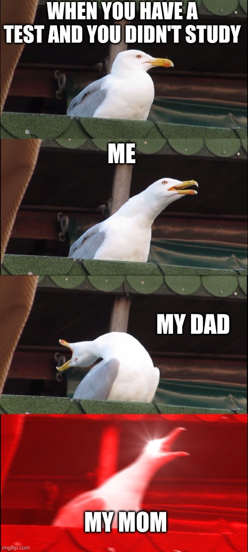 Inhaling Seagull | WHEN YOU HAVE A TEST AND YOU DIDN'T STUDY; ME; MY DAD; MY MOM | image tagged in memes,inhaling seagull | made w/ Imgflip meme maker