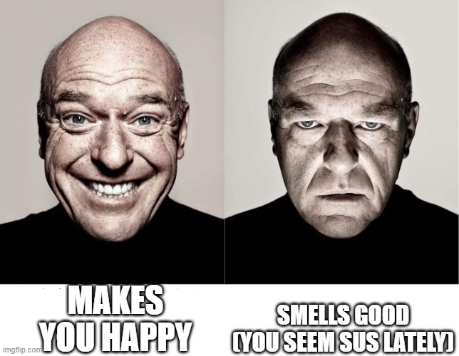breaking bad smile frown | MAKES YOU HAPPY SMELLS GOOD (YOU SEEM SUS LATELY) | image tagged in breaking bad smile frown | made w/ Imgflip meme maker