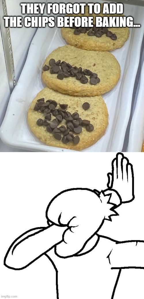 THEY FORGOT TO ADD THE CHIPS BEFORE BAKING... | image tagged in extreme facepalm,cookies,chocolate chips | made w/ Imgflip meme maker