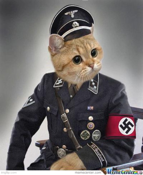 Nazi Cat | image tagged in nazi cat | made w/ Imgflip meme maker
