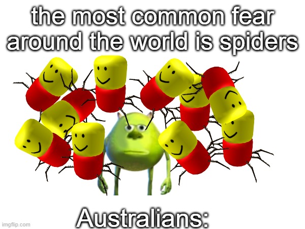 the most common fear around the world is spiders; Australians: | image tagged in spider | made w/ Imgflip meme maker