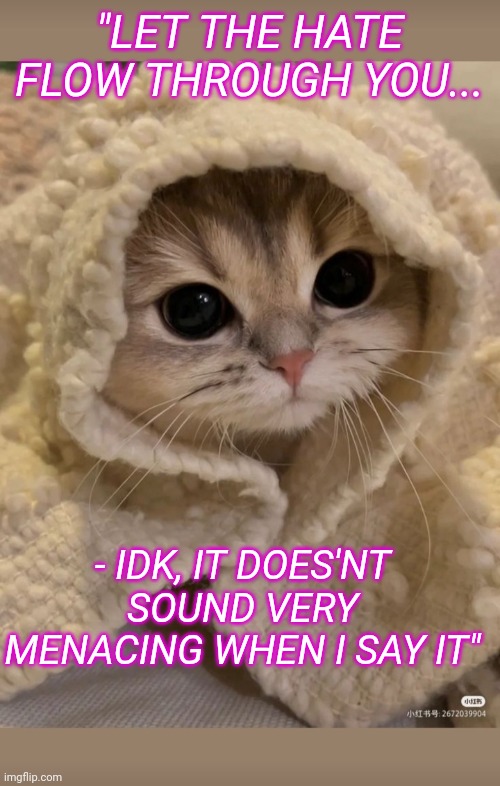 Dark Kitty | "LET THE HATE FLOW THROUGH YOU... - IDK, IT DOES'NT SOUND VERY MENACING WHEN I SAY IT" | image tagged in cute kittens,darth vader - come to the dark side | made w/ Imgflip meme maker
