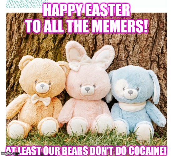 HAPPY EASTER TO ALL THE MEMERS! AT LEAST OUR BEARS DON'T DO COCAINE! | image tagged in happy easter,go bears | made w/ Imgflip meme maker