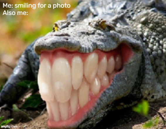 Taking photo | Me: smiling for a photo
Also me: | image tagged in smiling,photo,teeth,crocodile | made w/ Imgflip meme maker