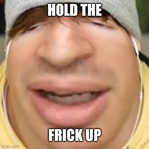 E | HOLD THE FRICK UP | image tagged in e | made w/ Imgflip meme maker