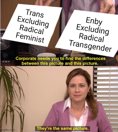 A new kind of oppression | Trans
Excluding
Radical
Feminist; Enby
Excluding
Radical
Transgender | image tagged in memes,they're the same picture,lgbt,non binary,hypocrisy | made w/ Imgflip meme maker