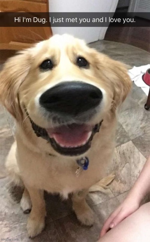 Wait what did nova do | image tagged in msmg | made w/ Imgflip meme maker