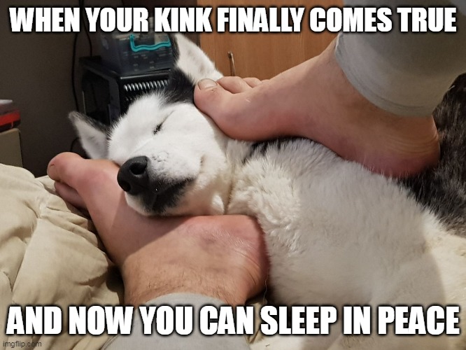 Kinksleeping | WHEN YOUR KINK FINALLY COMES TRUE; AND NOW YOU CAN SLEEP IN PEACE | image tagged in meme husky kink feet feral meme furry dog wolf | made w/ Imgflip meme maker