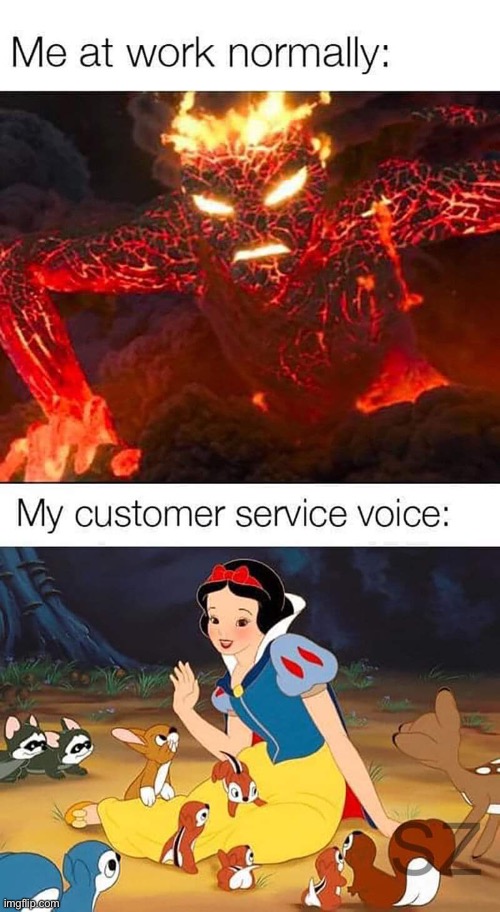 image tagged in memes,funny,wholesome | made w/ Imgflip meme maker