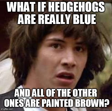 Conspiracy Keanu Meme | WHAT IF HEDGEHOGS ARE REALLY BLUE AND ALL OF THE OTHER ONES ARE PAINTED BROWN? | image tagged in memes,conspiracy keanu | made w/ Imgflip meme maker