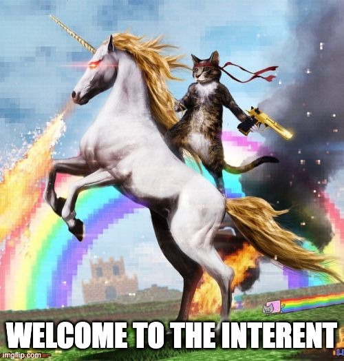 Welcome To The Internets Meme | WELCOME TO THE INTERENT | image tagged in memes,welcome to the internets | made w/ Imgflip meme maker