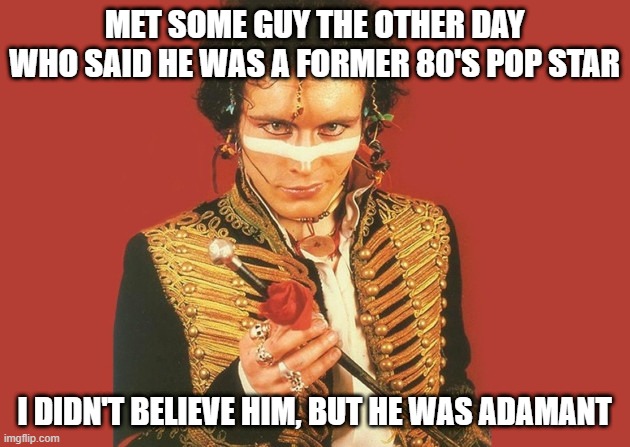 Goody Two Shoes | MET SOME GUY THE OTHER DAY WHO SAID HE WAS A FORMER 80'S POP STAR; I DIDN'T BELIEVE HIM, BUT HE WAS ADAMANT | image tagged in adam ant rose,funny,memes | made w/ Imgflip meme maker