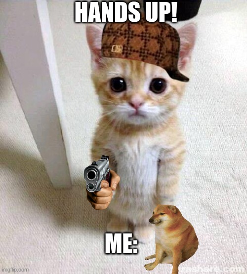Hands up!!! | HANDS UP! ME: | image tagged in memes,cute cat | made w/ Imgflip meme maker