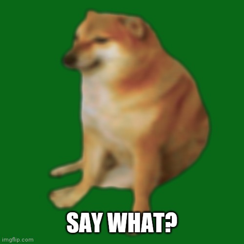 cheems | SAY WHAT? | image tagged in cheems | made w/ Imgflip meme maker
