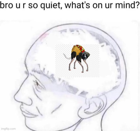 daco | image tagged in bro you're so quiet | made w/ Imgflip meme maker