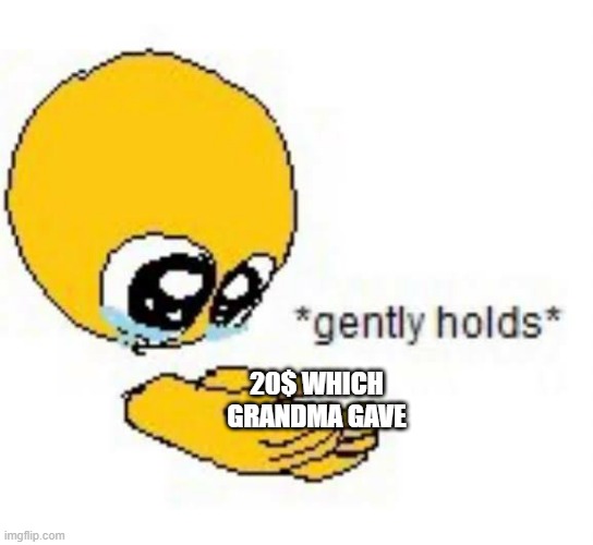 damn me rich |  20$ WHICH GRANDMA GAVE | image tagged in gently holds emoji | made w/ Imgflip meme maker