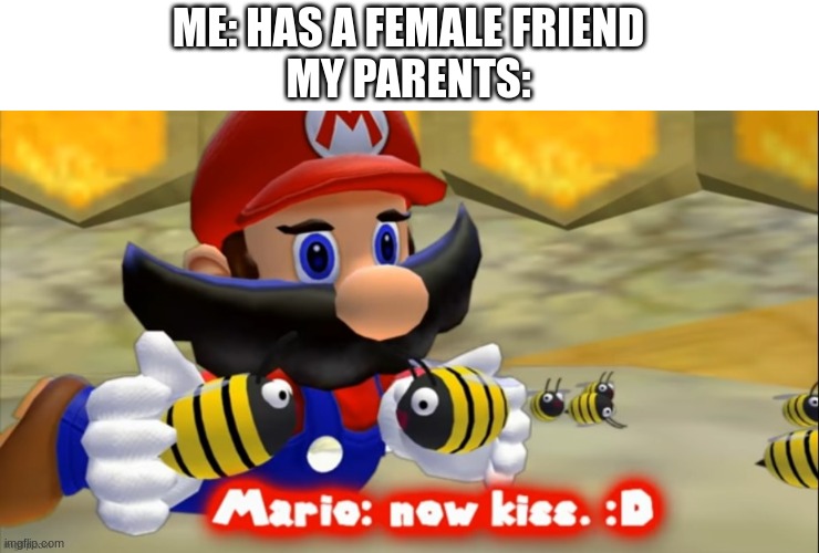 ME: HAS A FEMALE FRIEND
MY PARENTS: | image tagged in meh | made w/ Imgflip meme maker