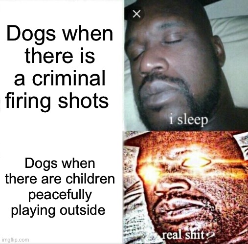 Am I wrong? | Dogs when there is a criminal firing shots; Dogs when there are children peacefully playing outside | image tagged in memes,sleeping shaq,funny,dark humor,dank memes | made w/ Imgflip meme maker