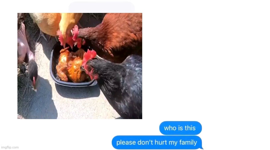 Chicken cannibalism | image tagged in who is this please don't hurt my family,dark humor,chicken,cannibalism,cannibal,memes | made w/ Imgflip meme maker