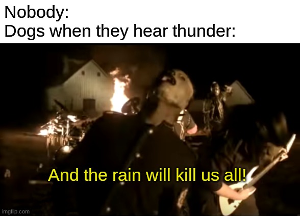 spooky sky water | Nobody:
Dogs when they hear thunder:; And the rain will kill us all! | image tagged in and the rain will kill us all | made w/ Imgflip meme maker