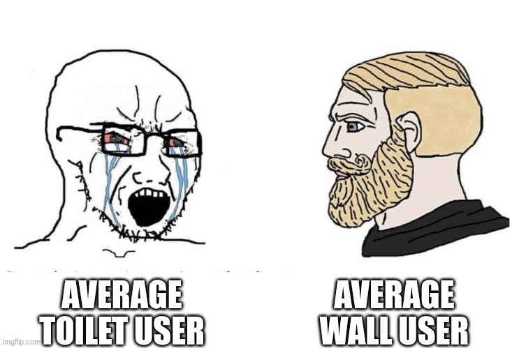 Wall User | AVERAGE WALL USER; AVERAGE TOILET USER | image tagged in soyboy vs yes chad | made w/ Imgflip meme maker