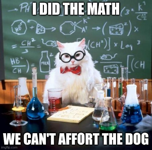 Chemistry Cat Meme | I DID THE MATH; WE CAN'T AFFORT THE DOG | image tagged in memes,chemistry cat | made w/ Imgflip meme maker
