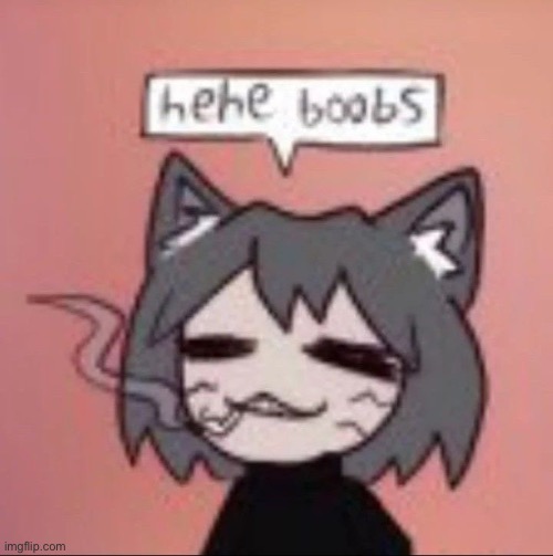 Hehe boobs | image tagged in hehe boobs | made w/ Imgflip meme maker