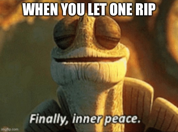 Finally, inner peace. | WHEN YOU LET ONE RIP | image tagged in finally inner peace | made w/ Imgflip meme maker