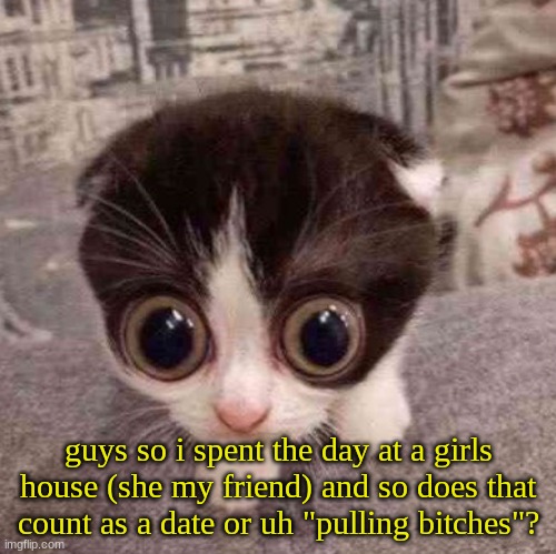 cat | guys so i spent the day at a girls house (she my friend) and so does that count as a date or uh "pulling bitches"? | image tagged in cat | made w/ Imgflip meme maker