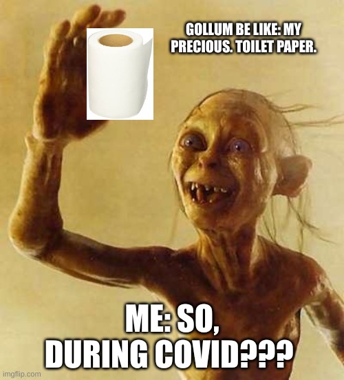 Am I right or what? | GOLLUM BE LIKE: MY PRECIOUS. TOILET PAPER. ME: SO, DURING COVID??? | image tagged in my precious gollum | made w/ Imgflip meme maker