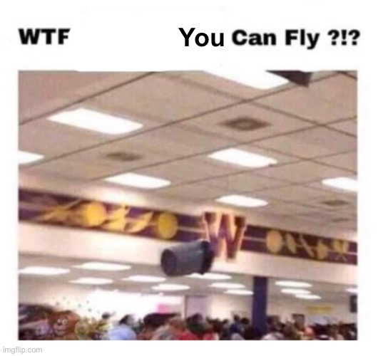 WTF --------- Can Fly ?!? | You | image tagged in wtf --------- can fly | made w/ Imgflip meme maker